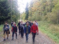 zloty lisc 2017 (10)